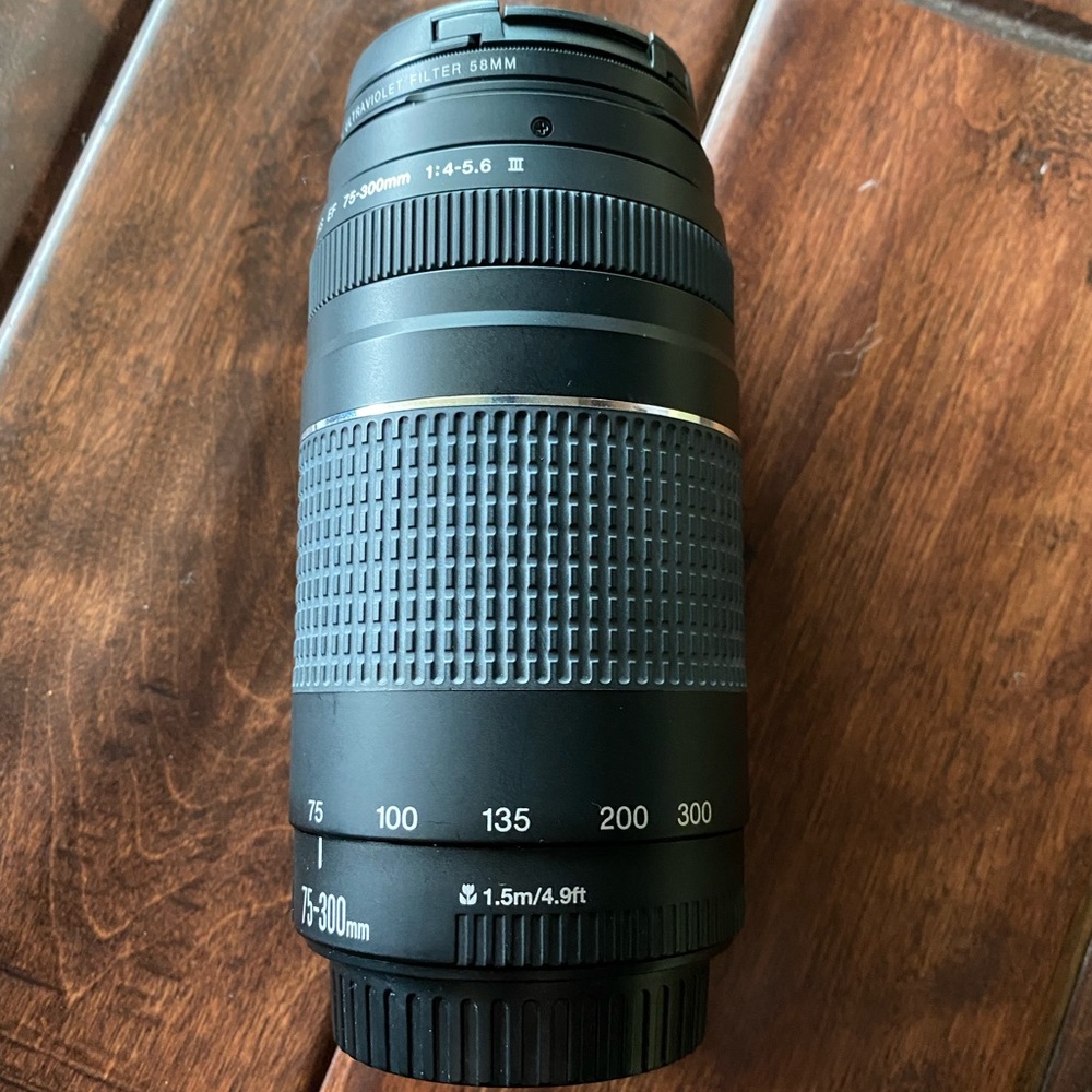 Canon Zoom Lens EF 75-300mm 1:4-5.6 III